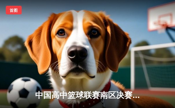 中国高中篮球联赛南区决赛：长沙一中加时险胜成都七中夺冠